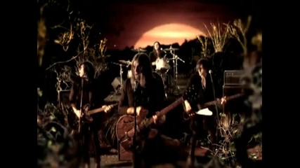 Kings Of Leon - On Call 