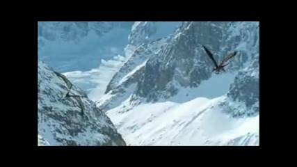 The Beauty of Dragons