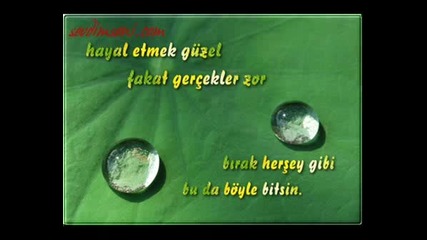 Ayriligin Tadi.