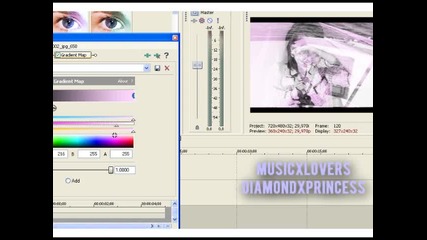 Sony Vegas|picture screen