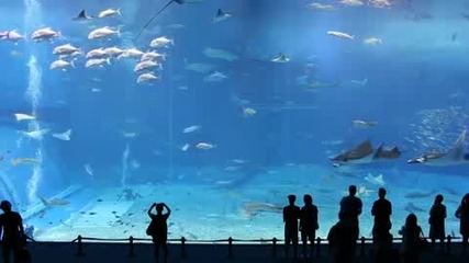 огромен аквариум в япония