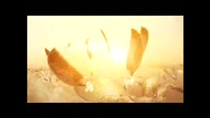 Bjork - Oceania