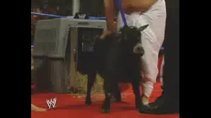 John Morrison & The Miz - The Dirt Sheet Ep.12