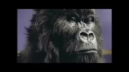 Рекламата на Cadbury с горила