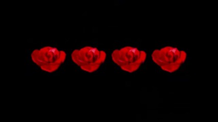 Julio Iglesias - Crazy In Love