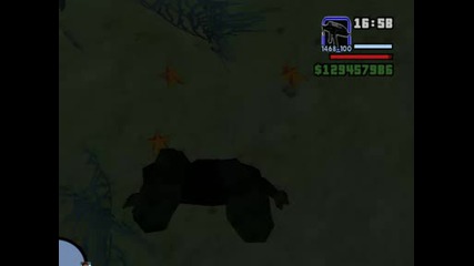 San Andreas - Krasoti
