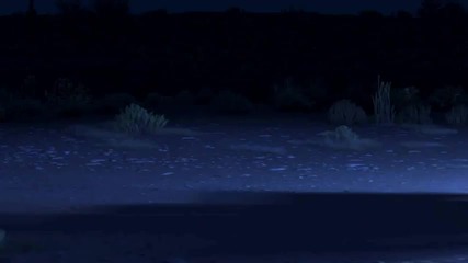 Cars Ghost Light Prank Funny Animation * High Quality * 