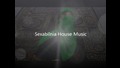 Арабската Цигулка Полудя! Sammy Flash - The Prelude Remix