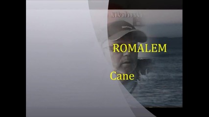 Cane Nikolovski Romalen.