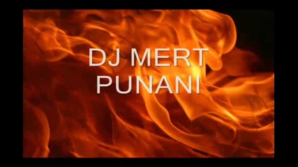 dj mert punani remix 