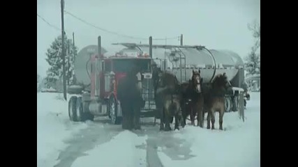 wimp.big rig stuck Bring in the real horsepower. [video]