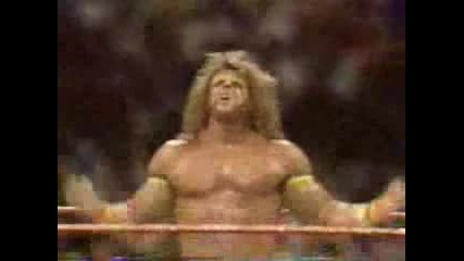 Hogan & Warrior Story