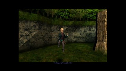 Harry Potter and The Philosopher's Stone - Remembrall Chase {part 12}