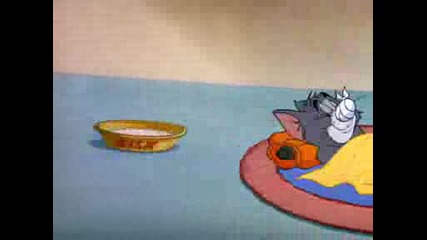 Tom And Jerry E40 Polka - Dot Puss