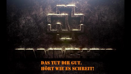 Rammstein - Ich Tu Dir Weh (lyric german)