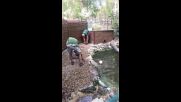 Мустакатият чаровник Видър очарова и покори публиката във Варна