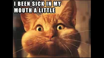 Very Funny Cats Part 2