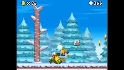 nsmb ds 5 - 1 