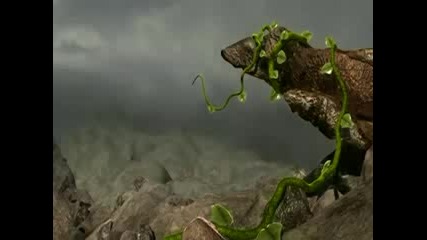 Animation - The Fall