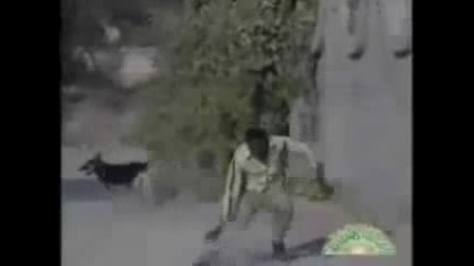 Арабски шегички