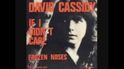 David Cassidy - If I Didnt Care (1974)