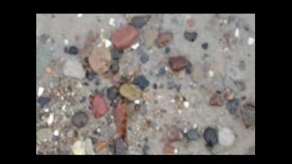 Пътят на кехлибара ( История на изкуството за деца )