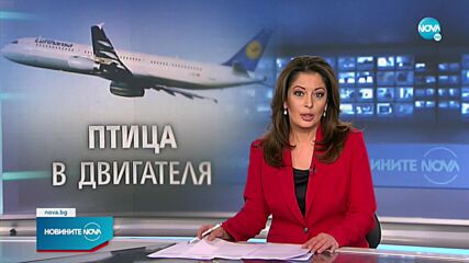 Самолет не успя да излети от летище София заради птици в двигателя
