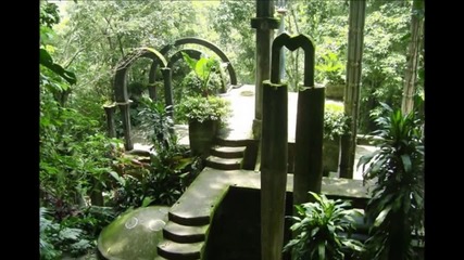 Mexican Jungle Paradise Xilitla