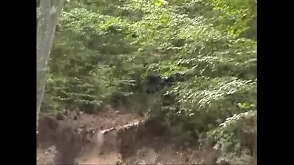 off-road