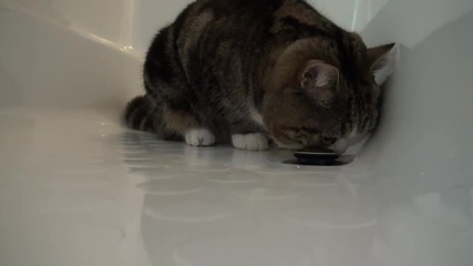 Мару проверява тапата на ваната