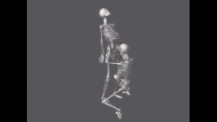 skeleti 