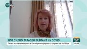 Двоен ръст на лаймска болест спрямо миналата година