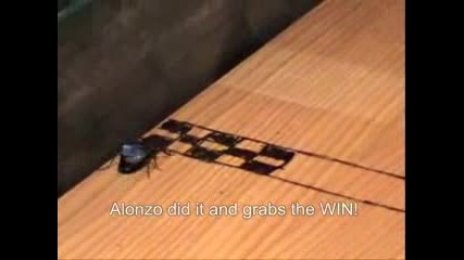 Alonzo Vs Schummy (f1)