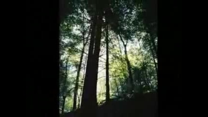 Indian Song