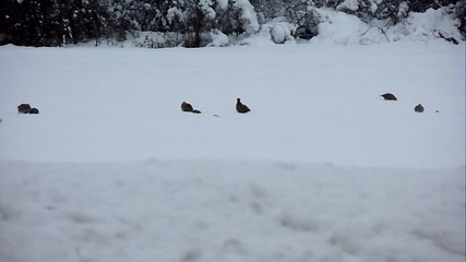 Sam_0901