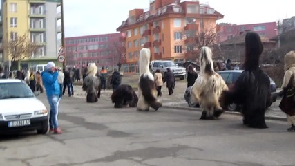 Сурва Струмско 14.01.2013(2)