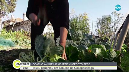 Колко ще ни излезе тази зима приготвянето на киселото зеле