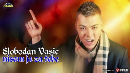 Slobodan Vasic - Nisam ja za tebe (2013)