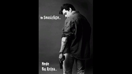 Hakan Gurses Insafsz Siirli