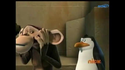 The Penguins Of Madagascar Over Phi 
