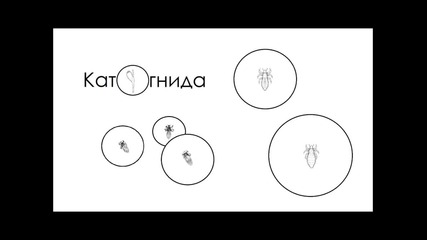 "катогнида" (drum&base beat)