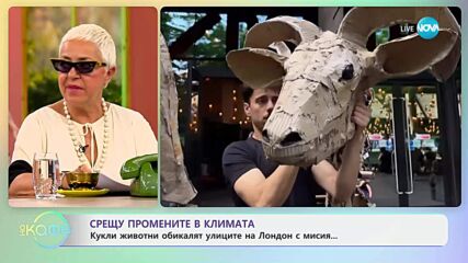 Срещу промените в климата: Кукли животни обикалят улиците на Лондон с мисия - „На кафе” (02.07.2025)