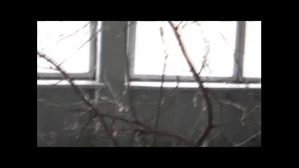Trip to Chernobyl and Pripyat - April 2009 (part 2) 