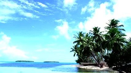 Cenk Celebioglu - The Island