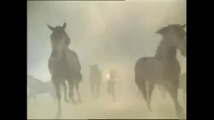 Shakira - Whenever,  Wherever