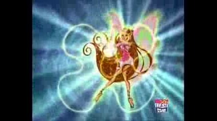 Winx Club - All Transformations (rai English)