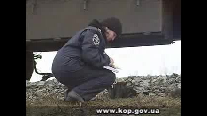 Дтп - вновь ужас на переезде
