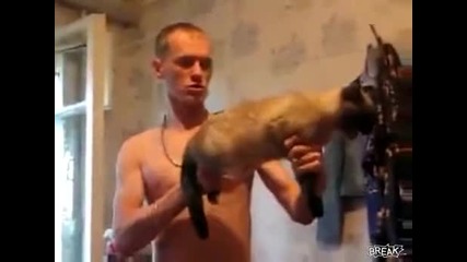Котка за масово унищожение (смях)