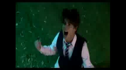 Mackenzie Falls - Homecoming