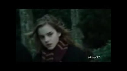 Hermione And Draco - Apologize